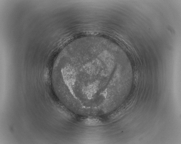 X0000115670270200912101119