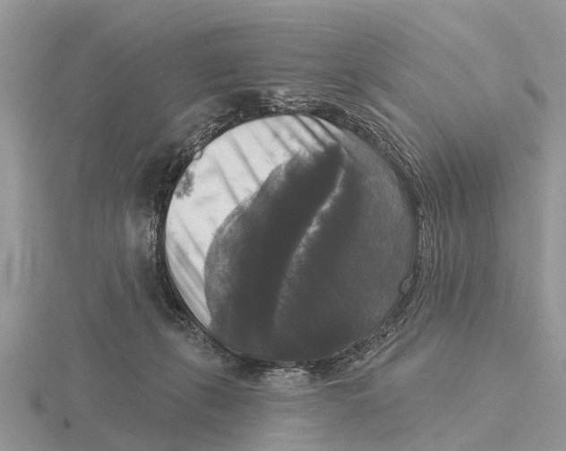 X0000115670271200912101119