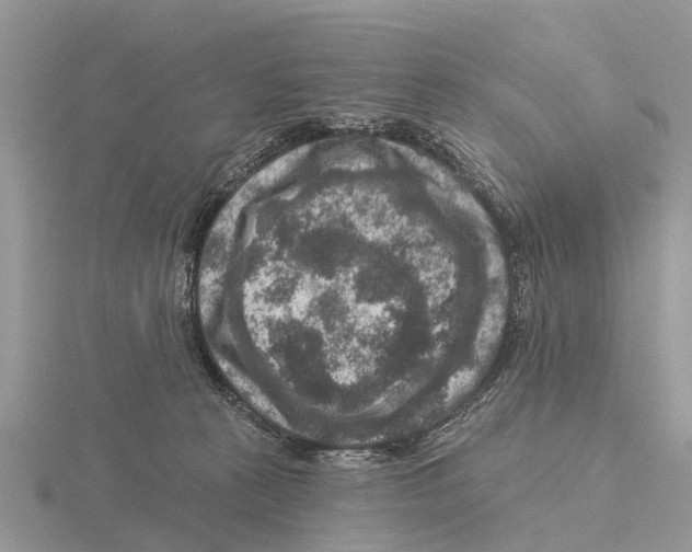 X0000115670273200912101119