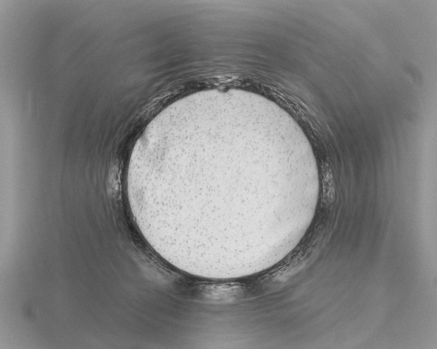 X0000115670274200912101119