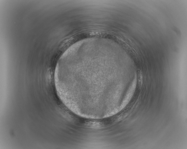 X0000115670276200912101119