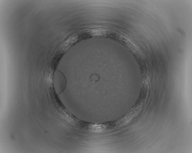 X0000115670277200912101119