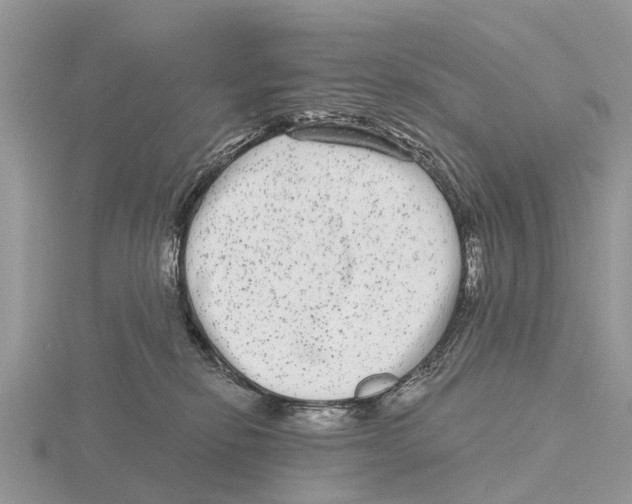 X0000115670278200912101119