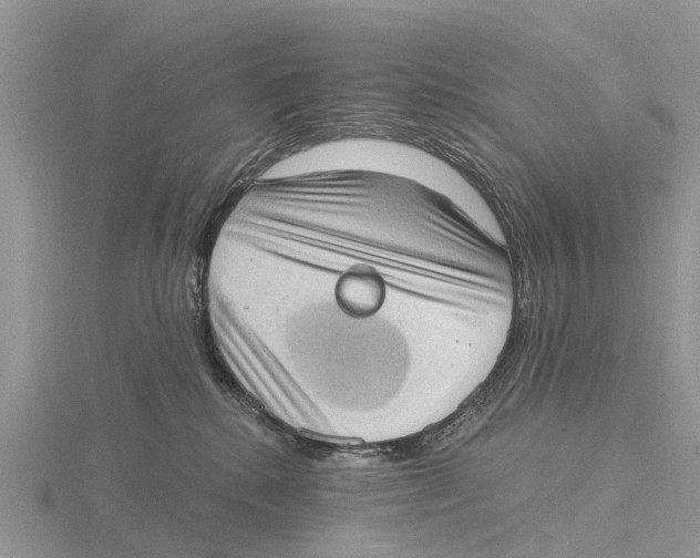 X0000115670280200912101119