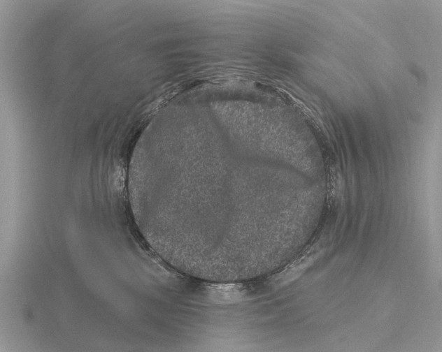 X0000115670281200912101119