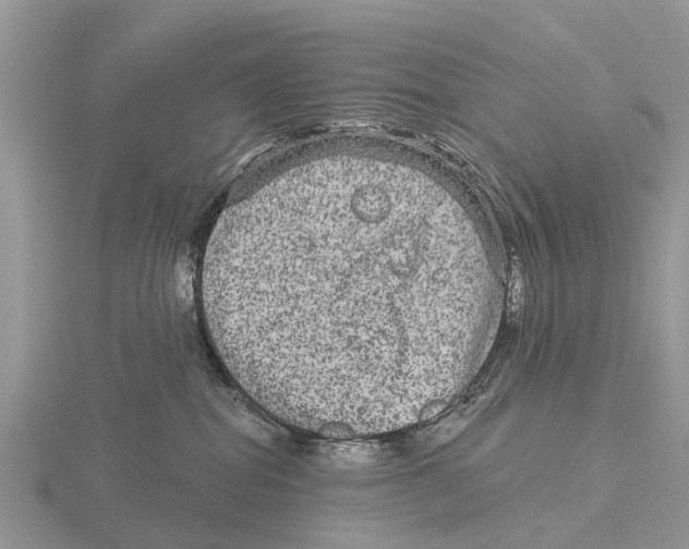 X0000115670282200912101119