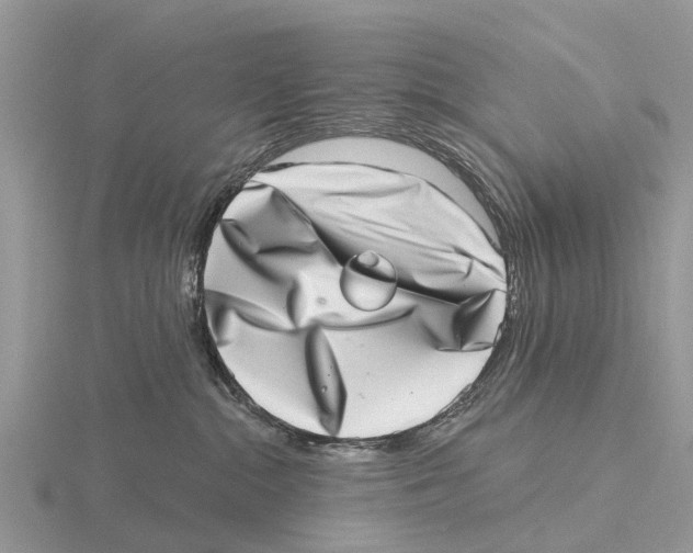 X0000115670284200912101119