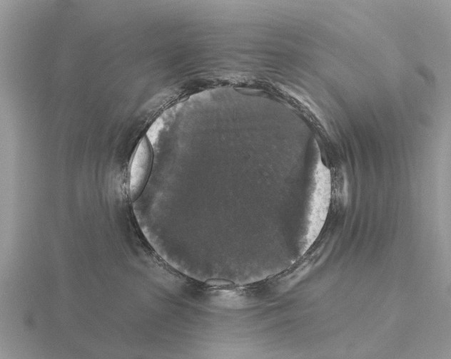 X0000115670285200912101119