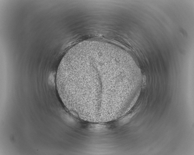 X0000115670286200912101119