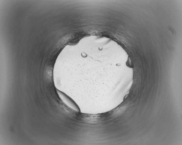 X0000115670288200912101119