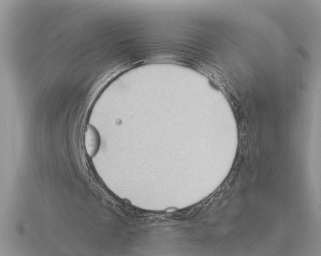 X0000115670289200912101118