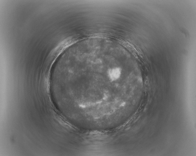 X0000115670290200912101118