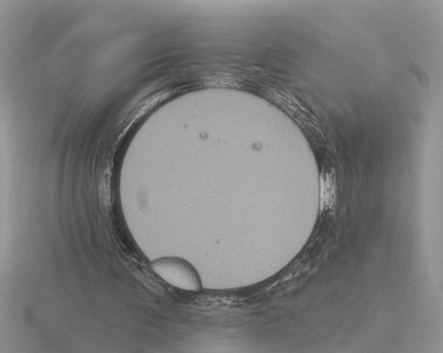 X0000115670291200912101118