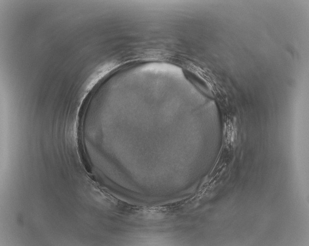 X0000115670292200912101118