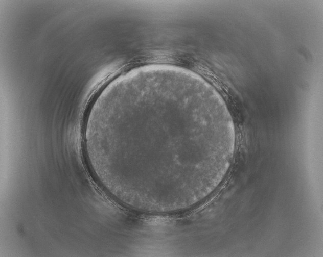 X0000115670293200912101118