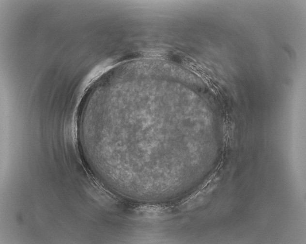 X0000115670294200912101118