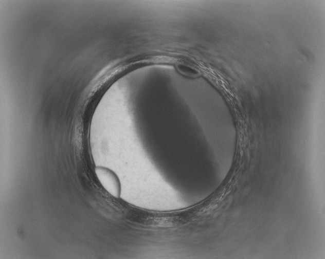 X0000115670295200912101118