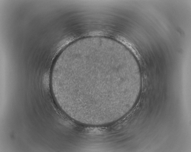 X0000115670297200912101118