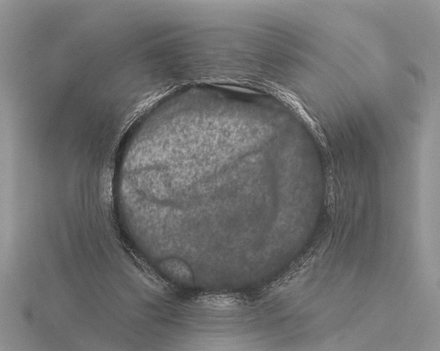 X0000115670299200912101118