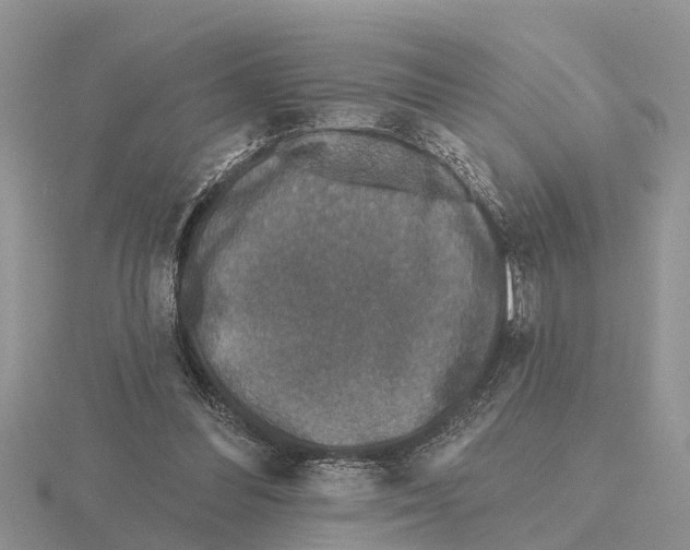 X0000115670300200912101118