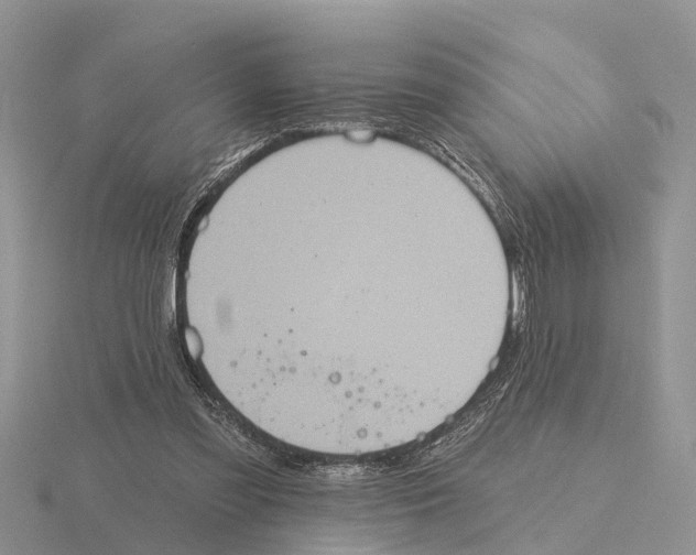 X0000115670301200912101118