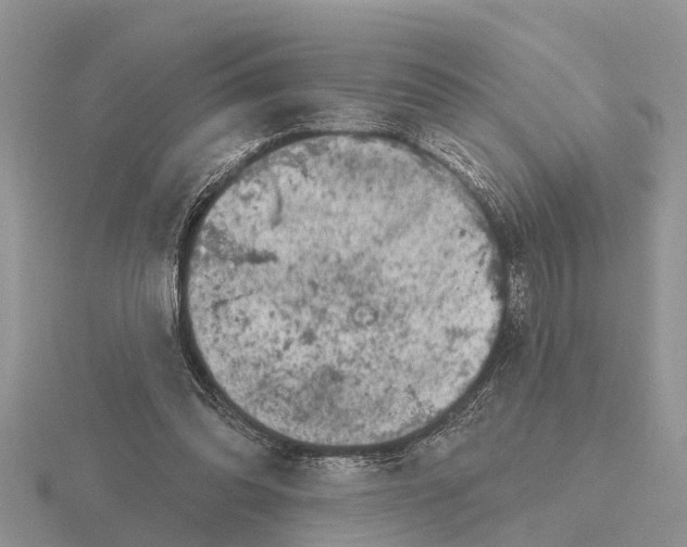 X0000115670302200912101118