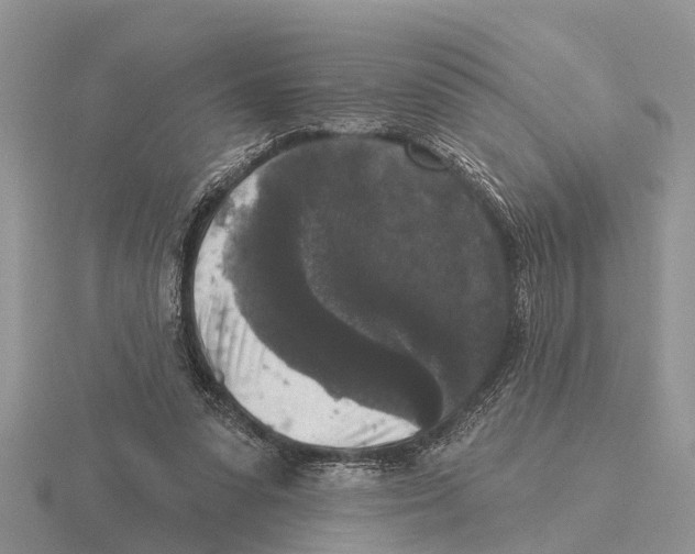 X0000115670303200912101118