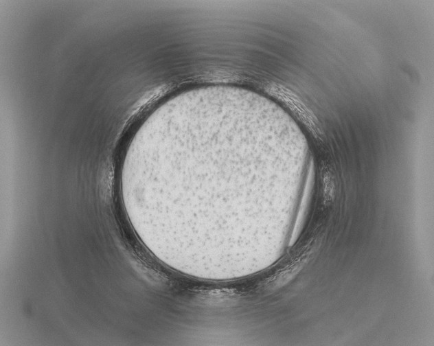 X0000115670304200912101118