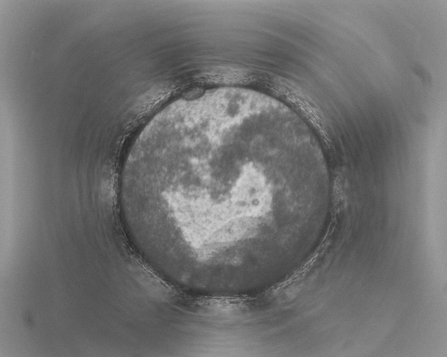 X0000115670305200912101118