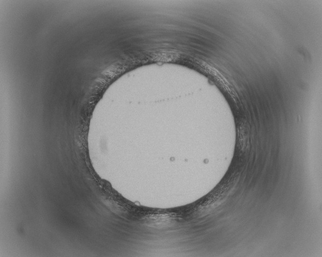 X0000115670307200912101118