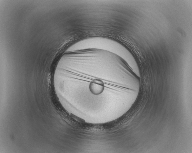 X0000115670308200912101118