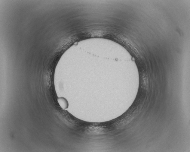 X0000115670311200912101118