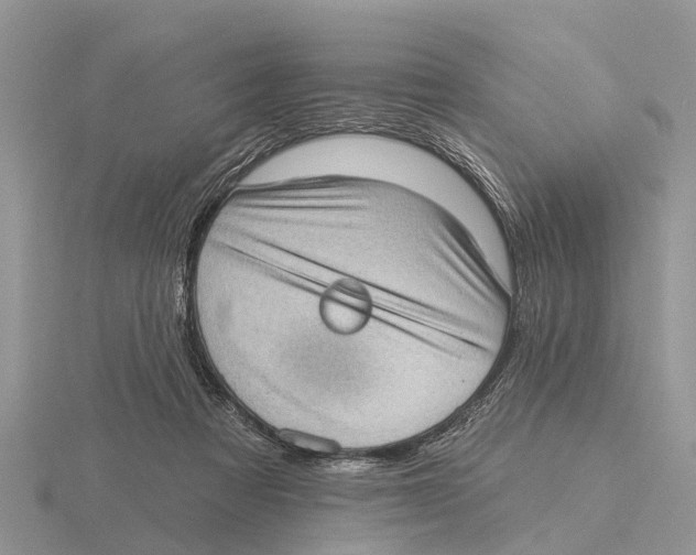 X0000115670313200912101118