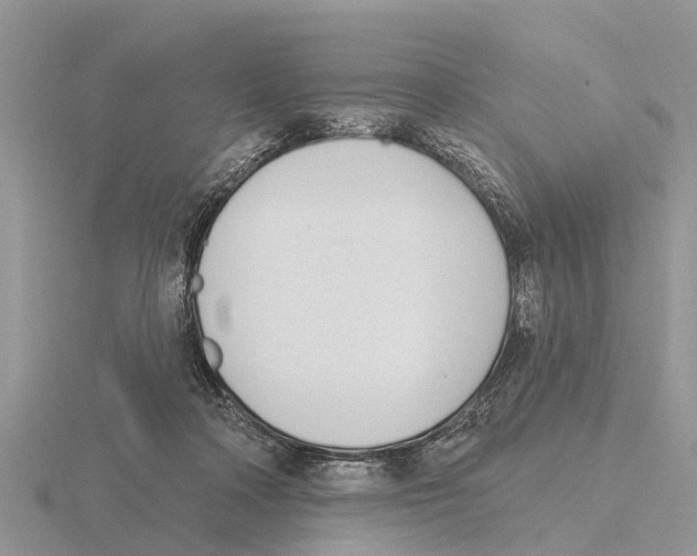 X0000115670314200912101118