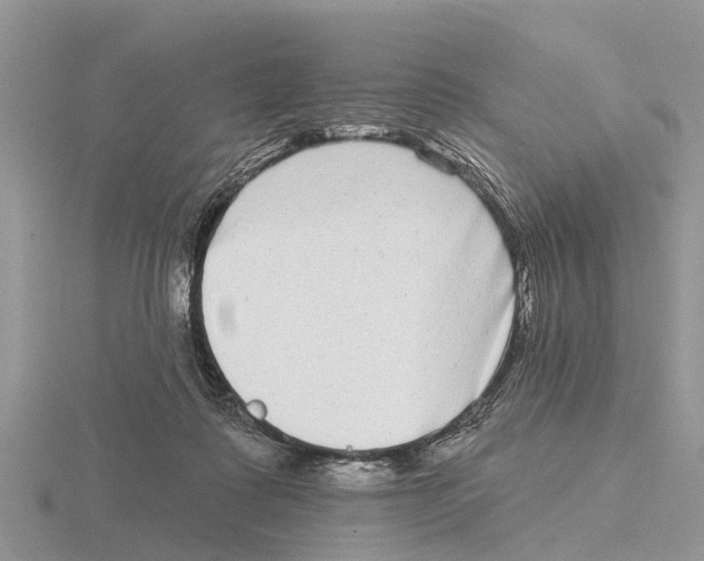 X0000115670315200912101118