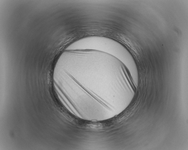 X0000115670317200912101118