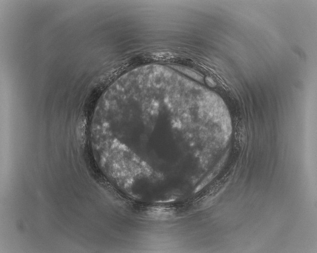 X0000115670319200912101118