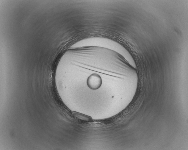 X0000115670320200912101118