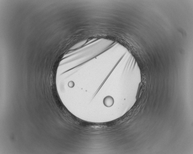 X0000115670323200912101118