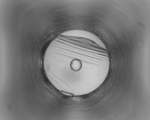 X0000115670324200912101118