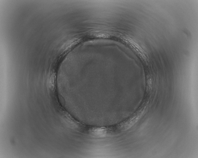 X0000115670325200912101118