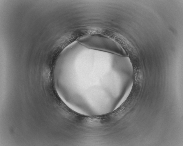 X0000115670327200912101118