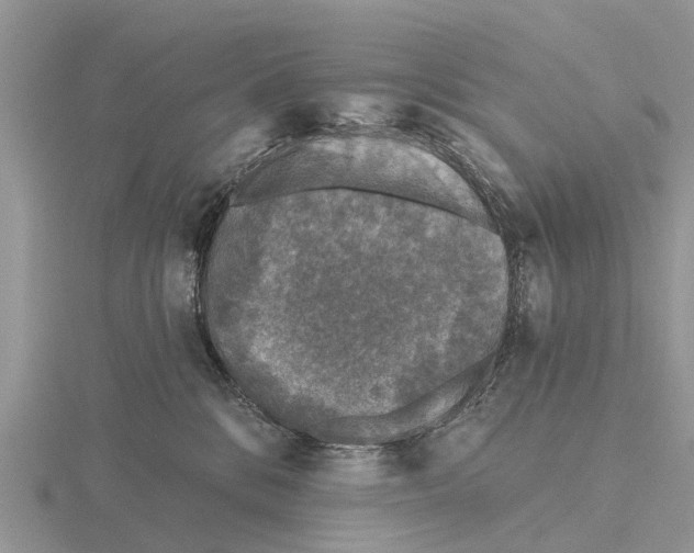 X0000115670328200912101117