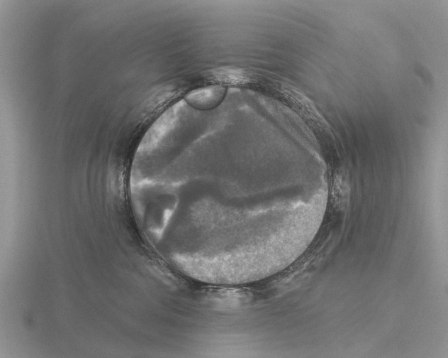 X0000115670330200912101117