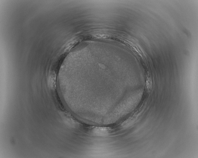 X0000115670332200912101117