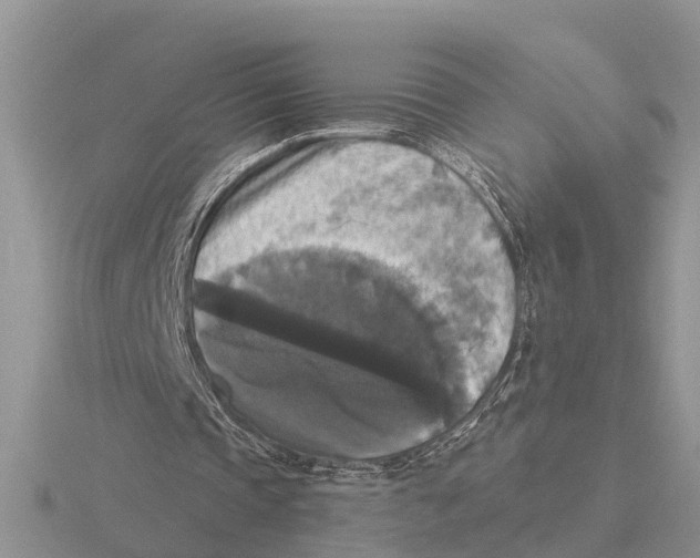 X0000115670337200912101117