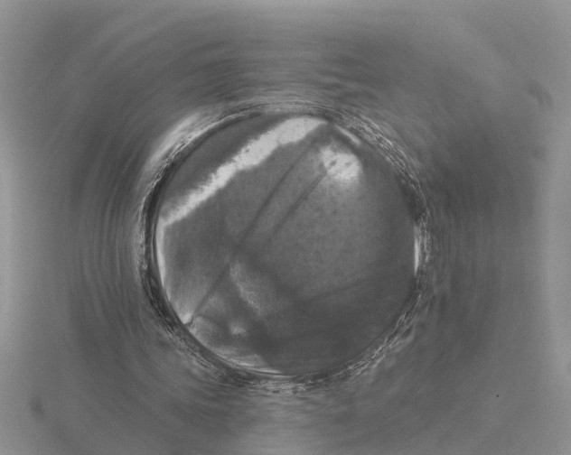 X0000115670339200912101117