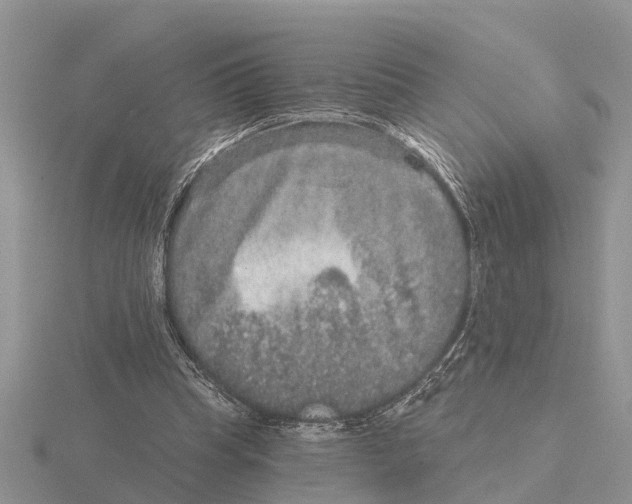 X0000115670345200912101117