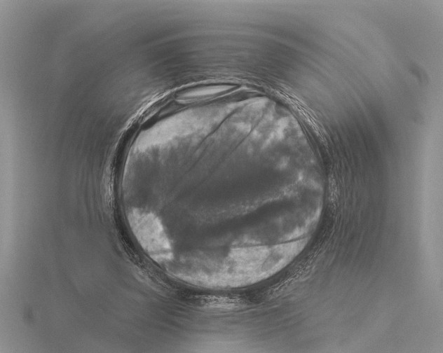 X0000115670347200912101117