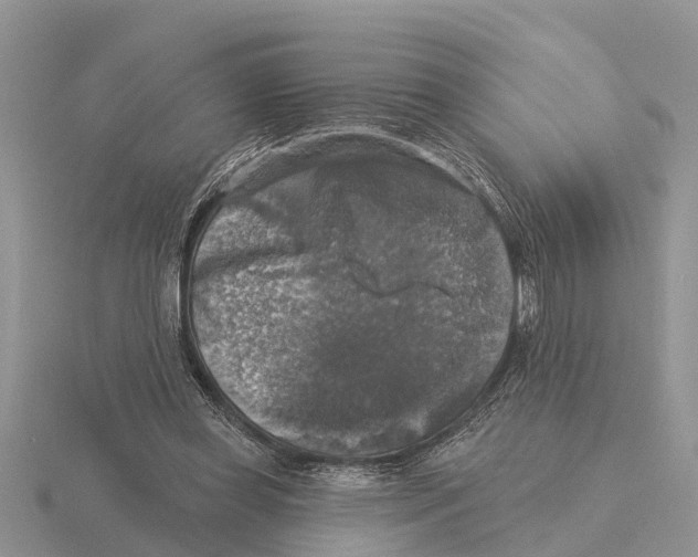 X0000115670349200912101117